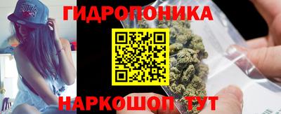 сатива Моздок